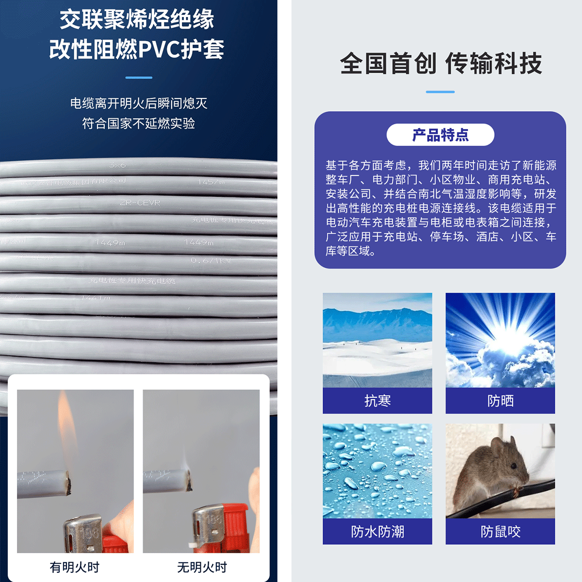 緊跟時代，藍海啟航！