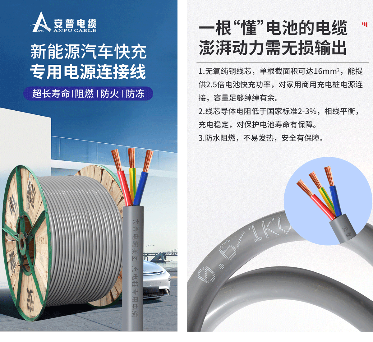 緊跟時代，藍海啟航！